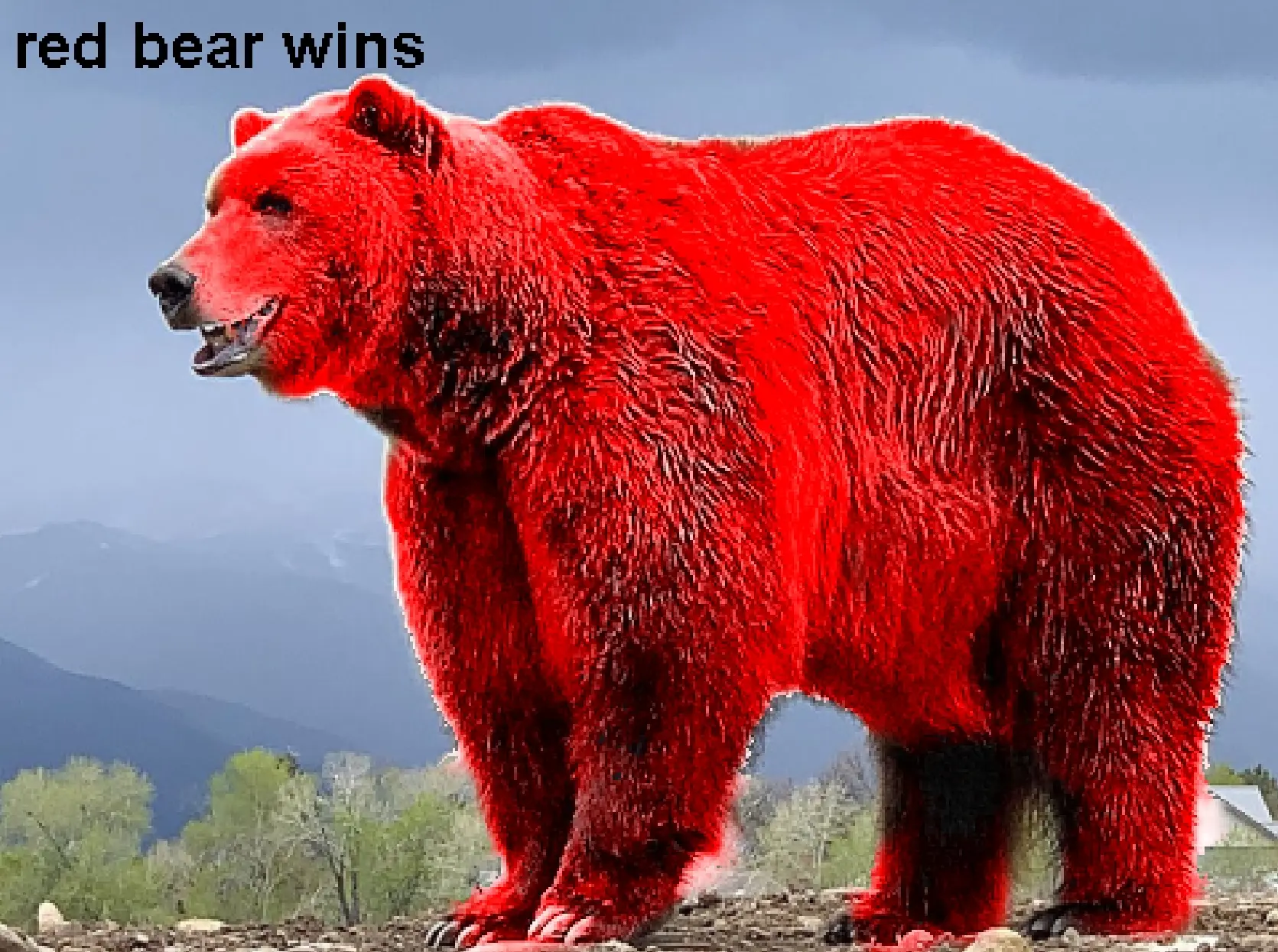 Bear Race Tests Main Screen